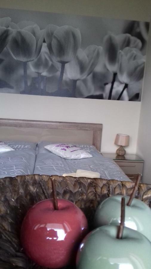 Apartment Provensal Liptovský Mikuláš 외부 사진